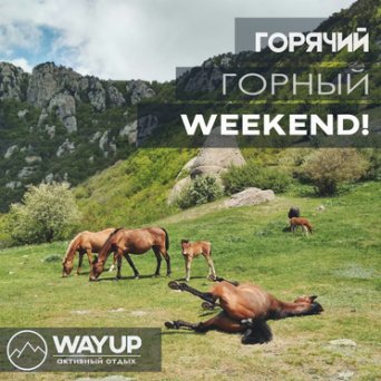 Кони на Демерджи Демерджи кони